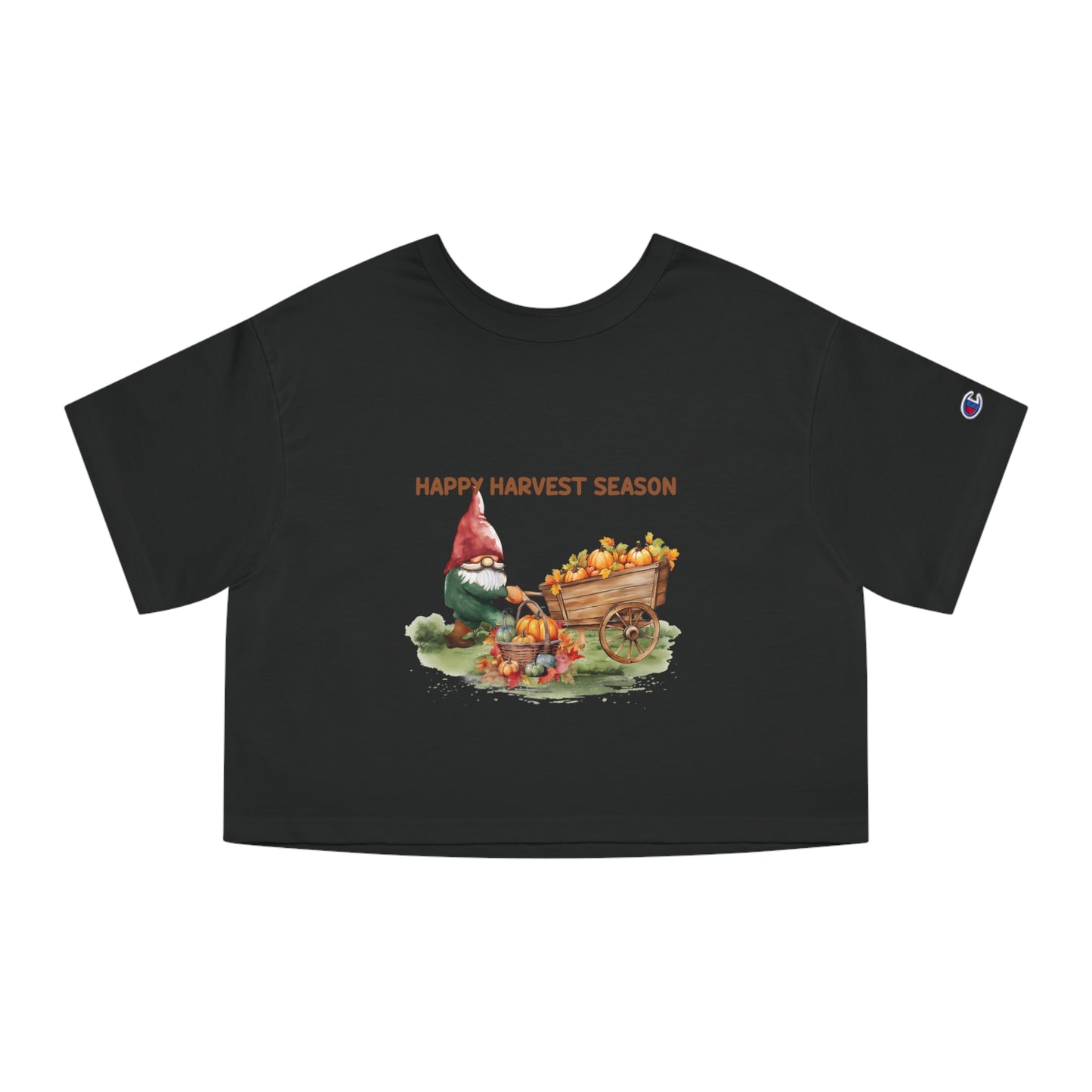 Champion Women's Heritage Cropped T-Shirt