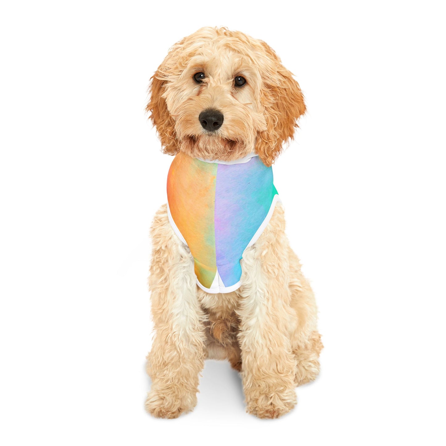 Pet Hoodie
