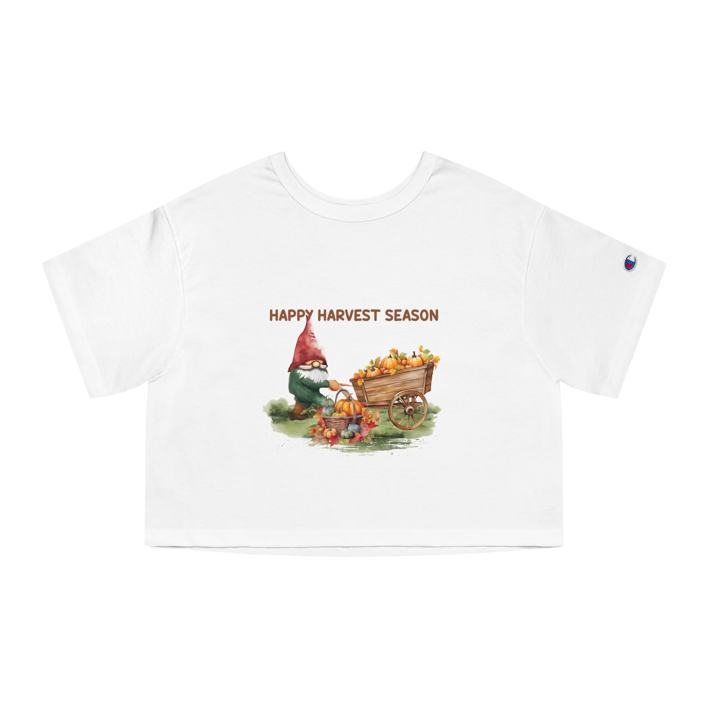 Champion Women's Heritage Cropped T-Shirt
