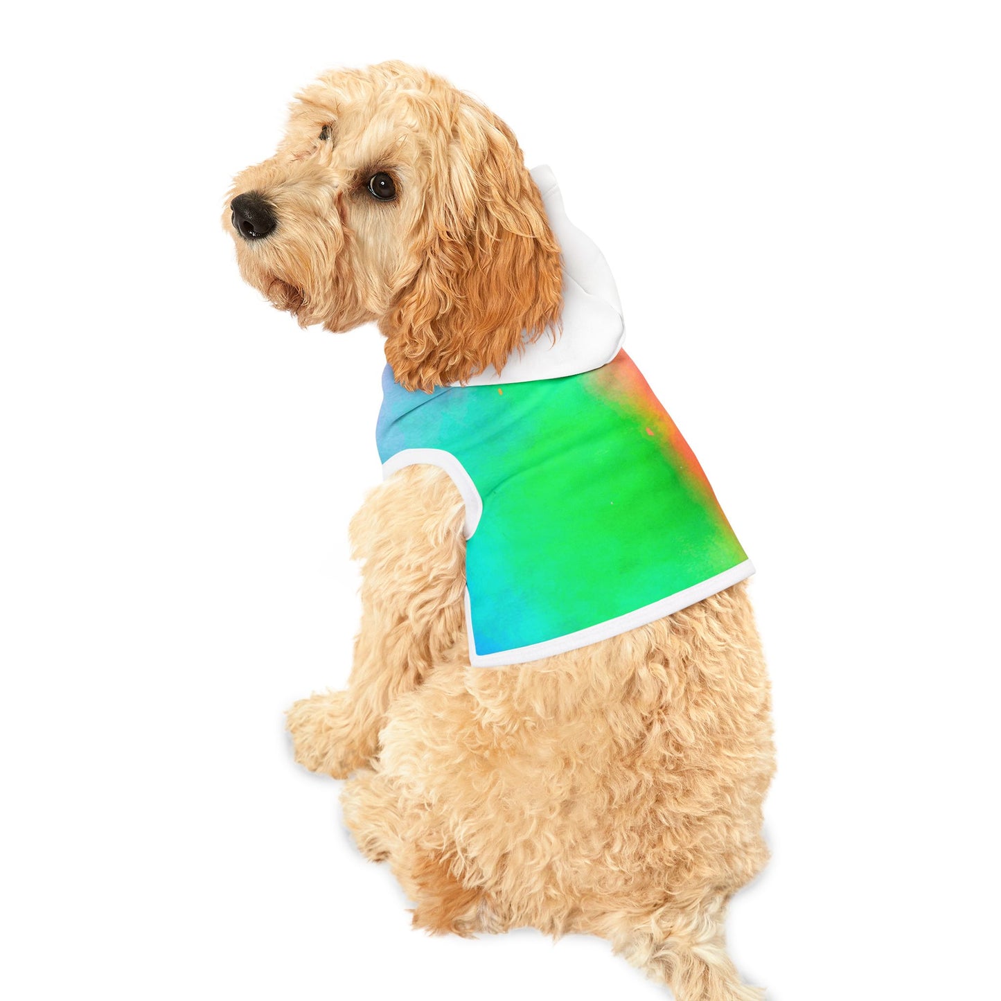 Pet Hoodie