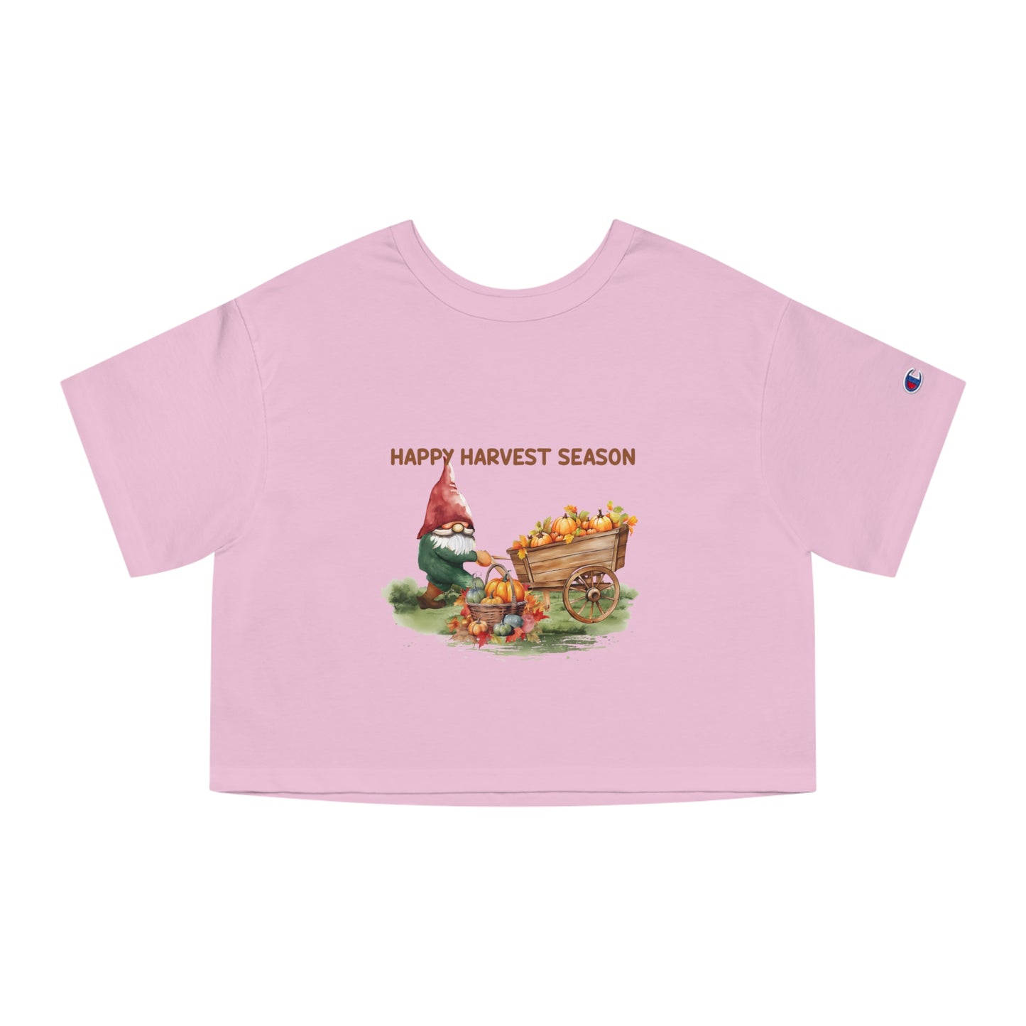 Champion Women's Heritage Cropped T-Shirt